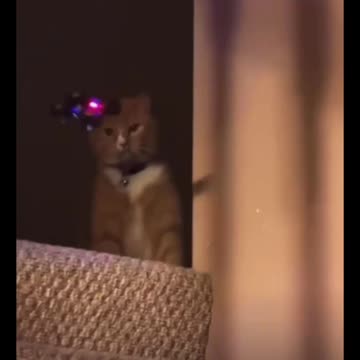 HERE'S HOW YOU HAVE TO REACT THE NEXT TIME THEY THREATEN YOUR FREEDOM, YOUR RIGHTS, AND YOUR HEALTH