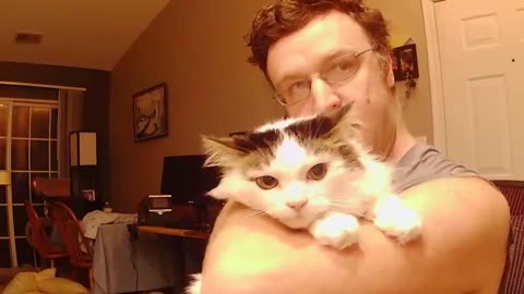 Dr-Cross's cat Starfy