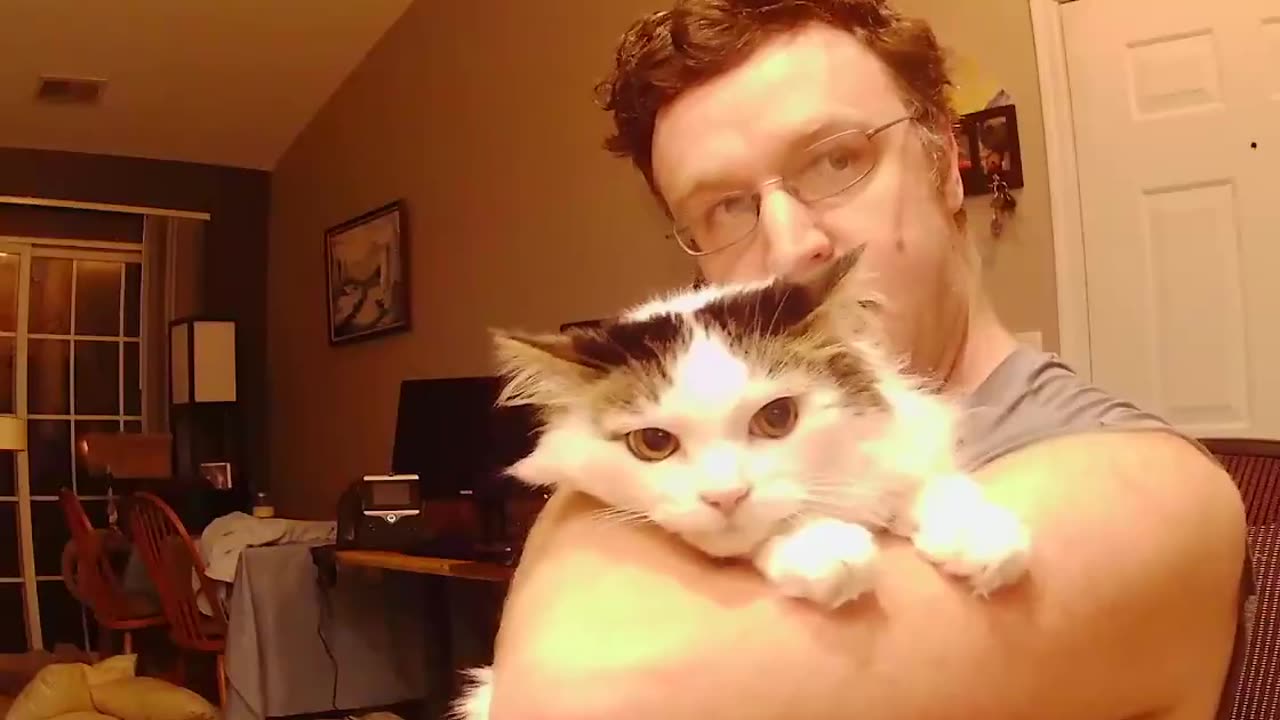 Dr-Cross's cat Starfy
