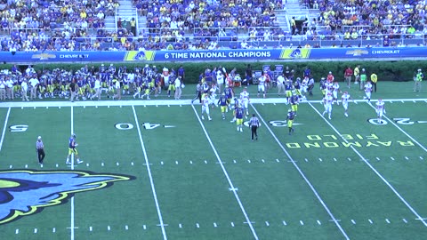 2018 - Delaware Offense vs Cornell Defense