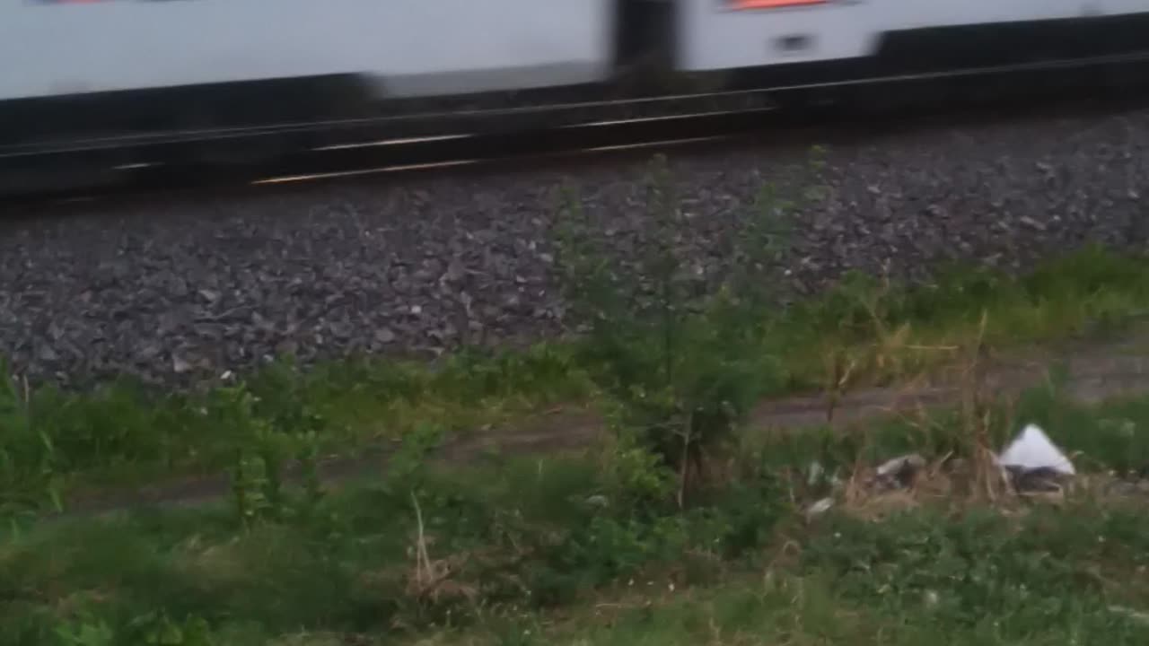 Just Passanger Train