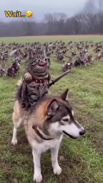 Billa🐈‍⬛ ka Jang 🤣