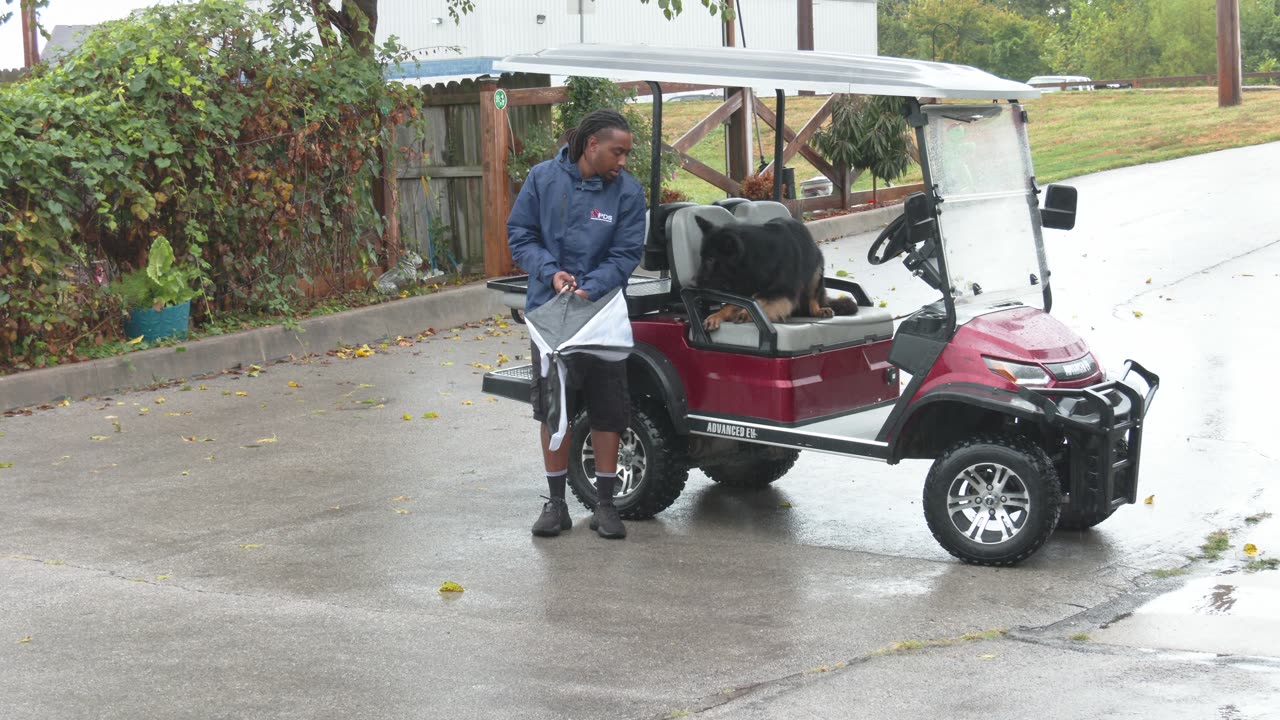 Yoda on a Golf Cart