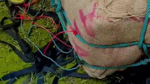 🌿🛡️ Myanmar War | Kachin Guerrillas Seize Junta Airdrop of Cheroot Cigars | RCF