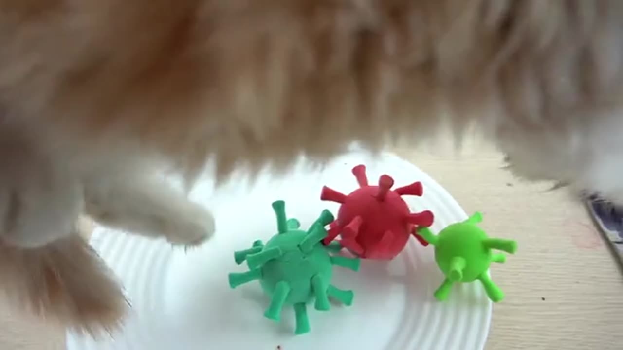 Kluna Tik Eating CORONAVIRUS to save KITTY cat_part1