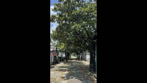 Illphated New Orleans - May 13 2025