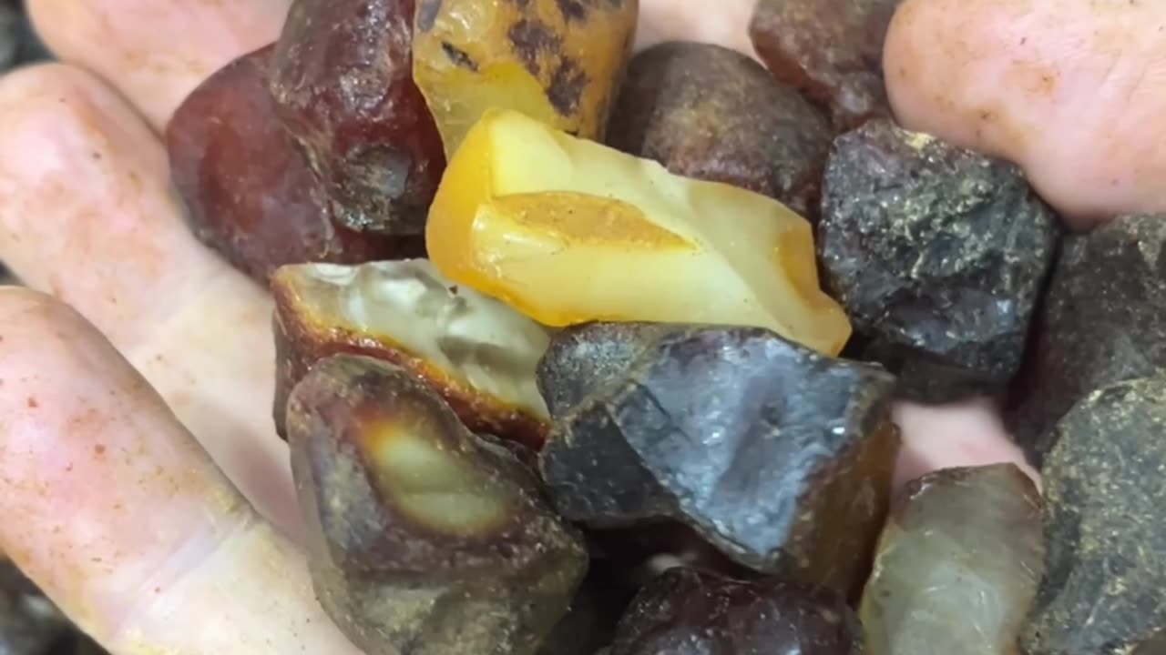 Ukrainian Amber🇨🇳