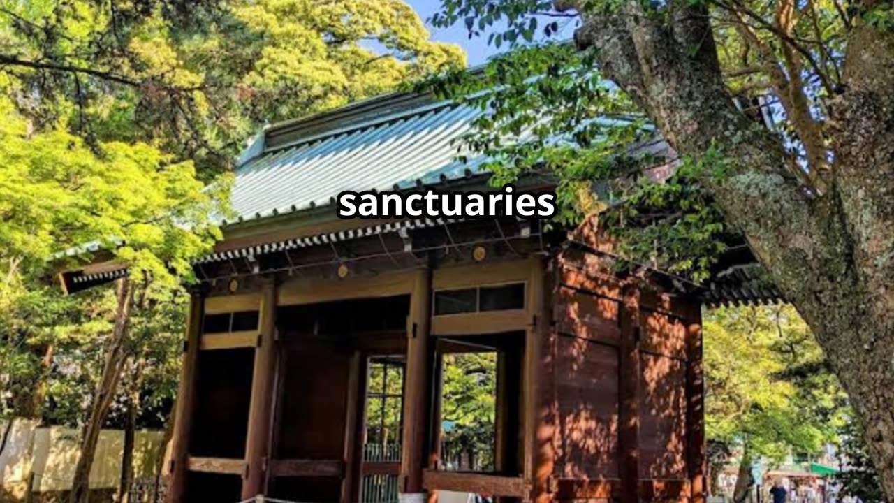 Discover Japan's Hidden Temples: Spiritual Sanctuaries Unveiled! #travel #explore #history