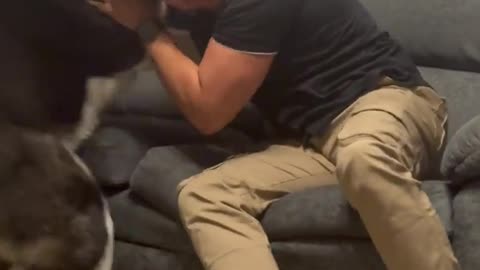 Man and Dog Reunited