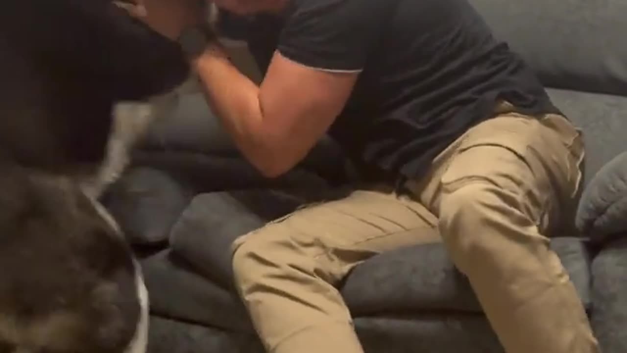 Man and Dog Reunited