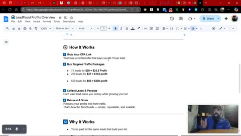 Top Secret CPA System Pays You for Emails?! (LeadFlood Profits EXPOSED)