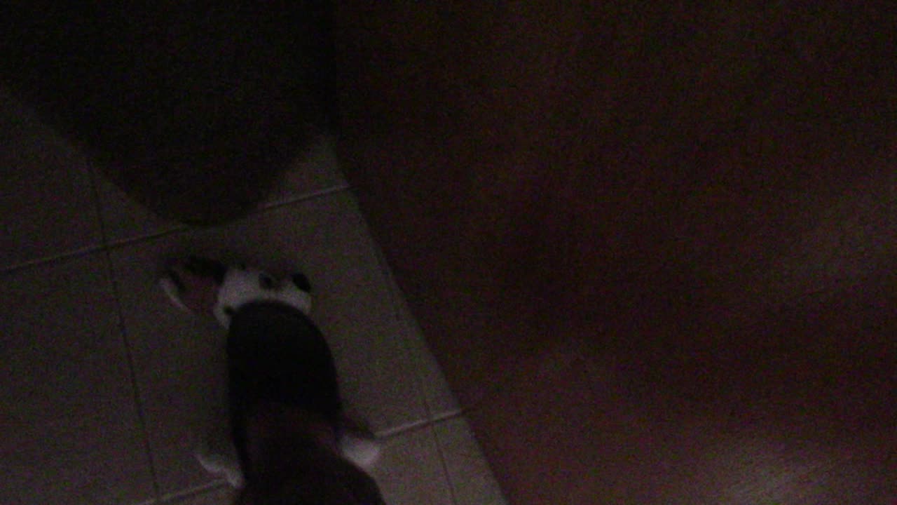 DYLAN THE SPONGE DOG 6