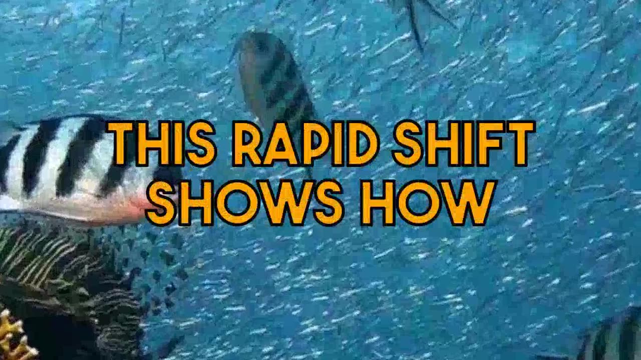 Assessing the Impact: How India-Maldives Tensions Reshaped Travel Patterns to Sri Lanka