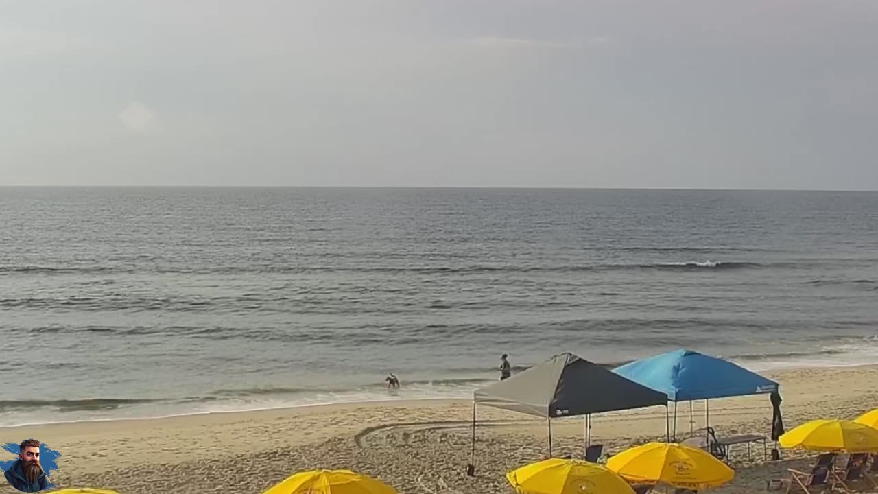 Seas the Day! 🌊 NC Beach Livestream