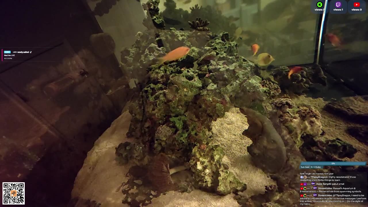 24/7 Real Live Reef Stream