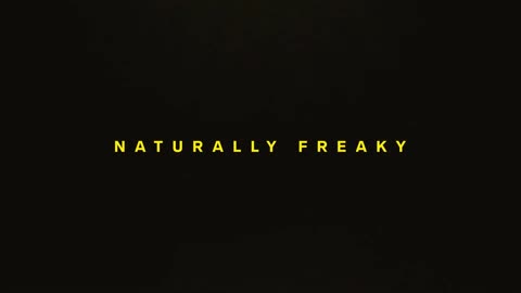 How to use the LELO Ina Wave 2 Cerise