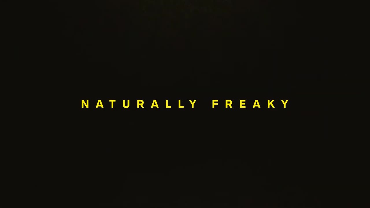 How to use the LELO Ina Wave 2 Cerise