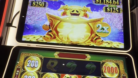 Golden Pig Bonus 🐷🎰🎊
