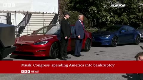 Donald Trump has no plans to talk to Elon Musk, White House says | BBC News
