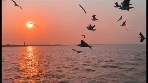 River side view ❤️😇