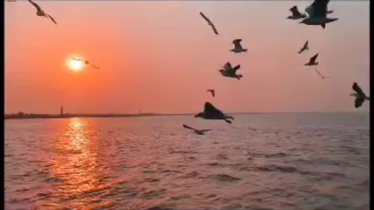 River side view ❤️😇