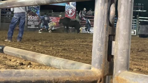 Night at the Rodeo