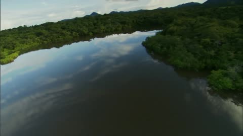 A Deadly Encounter in the Wild Guyana's Giant Anacondas Wildlife Documentary