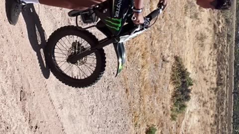 Bush motorbikes family