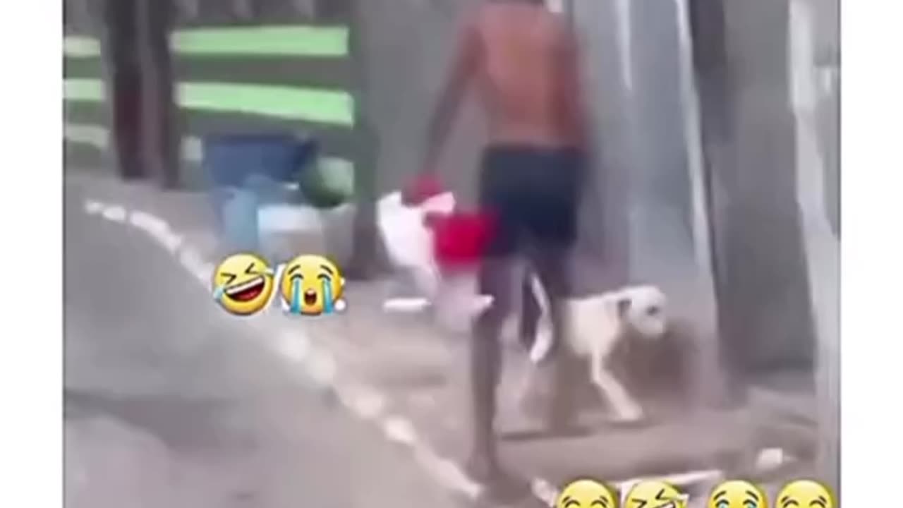 🐕 dog person