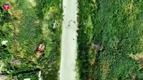 🎯🛸 Ukraine Russia War | Ukrainian Drone Downs Russian Fiber Optic Drone in Kupyansk | RCF