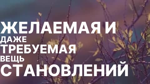 Как сохранить семью. Не обращайте внимание на мелочи. Секреты крепкой семьи.