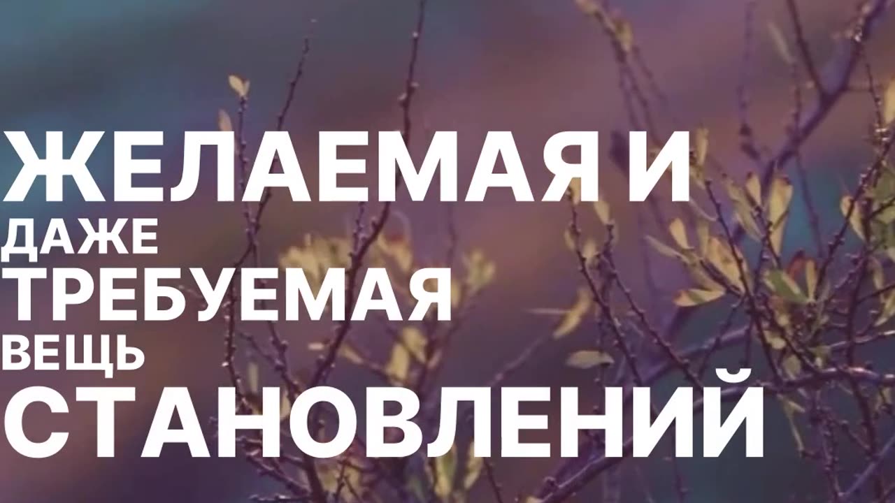 Как сохранить семью. Не обращайте внимание на мелочи. Секреты крепкой семьи.