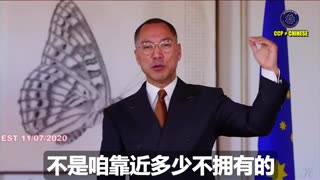 战友们请看今天发生的一切，是不是都在验证七哥这个视频说的？ 一月份以后的美国只有两个话题：病毒和灭共！ 自我修复的强大的美国，一定不允许共产党、共产主义和社会主义的存在