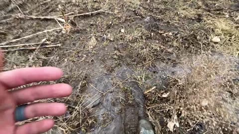 Frost Seeding Our Run-Down Pasture | Farming without a Tractor