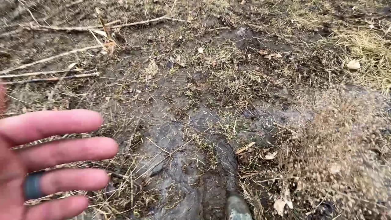 Frost Seeding Our Run-Down Pasture | Farming without a Tractor