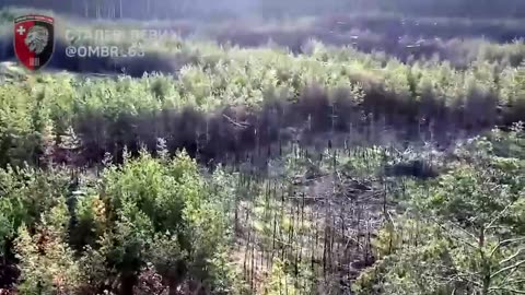 Soldiers of the 63rd Special Brigade showed footage from the Serebryanskyi forestry,
