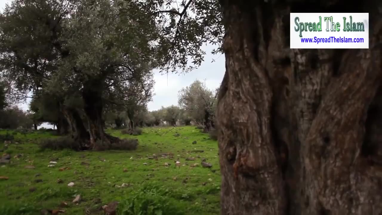 Story of Reliance on Allah: An Islamic Prophet's Story in Urdu