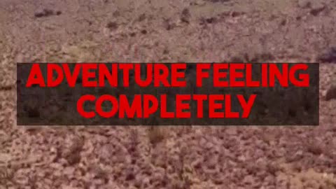 Sinai Trail in Egypt Exploring a Bedouin Trekking Route