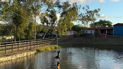 Fun Time!