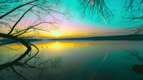 24/7 Relaxation Live: Nature Calms Stress (Authentic Sounds)