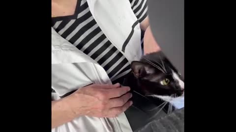 🐾🕊️ Ukraine Russia War | Heroic Rescues Save Over 1,000 Lives Including Animals | RCF