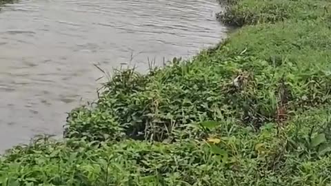 😂💦 Calm Water Surface is a Surprise! | FunFM