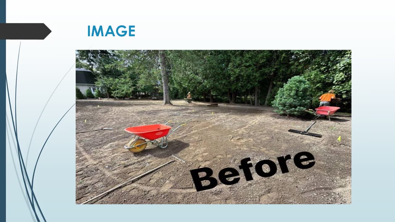 Best Tree Removal Services in Peru