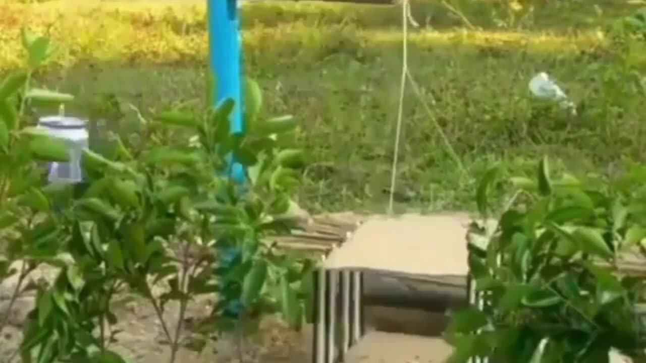 The Simplest Trap...