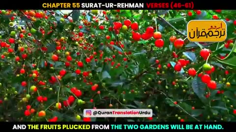 Surat-ur-Rehman Verses 46-61 Urdu Translation