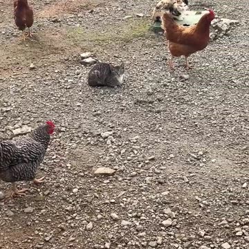 Why are they watching me?