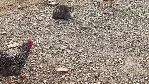 Why are they watching me?