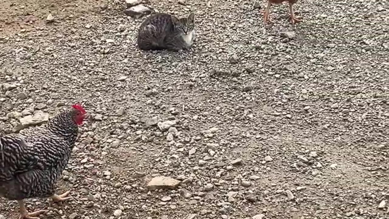 Why are they watching me?