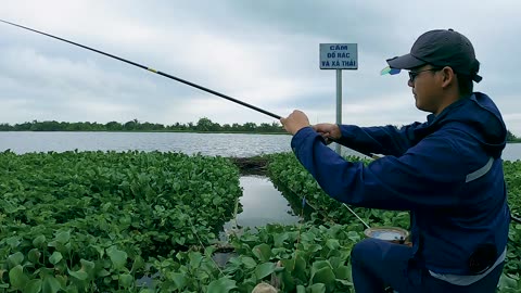 Chub Challenge A River Quest