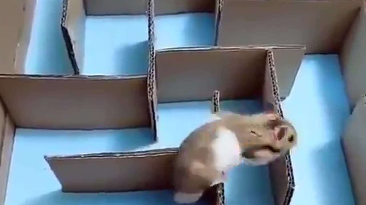 Thinking outside the box.. 😅